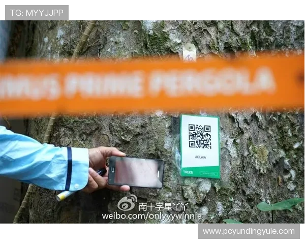 云顶娱乐场网址官方确认入口,保证玩家账号安全与资金保障 云顶娱乐场网址官方确认入口,保证玩家账号安全与资金保障