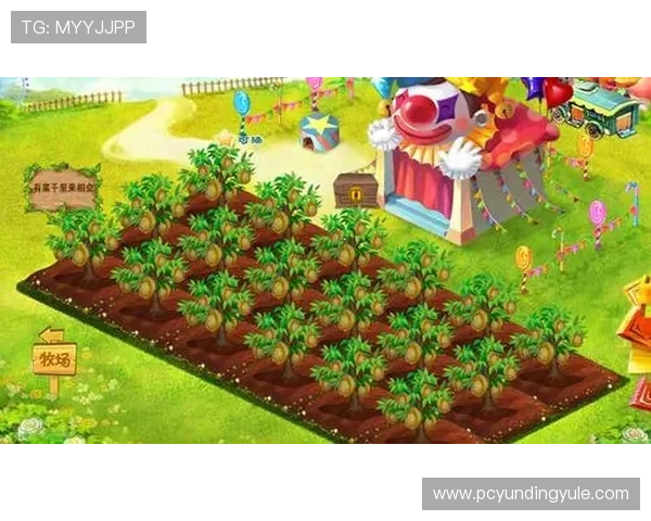 云顶官网在线入口全天候24小时开放方便玩家随时随地登录体验