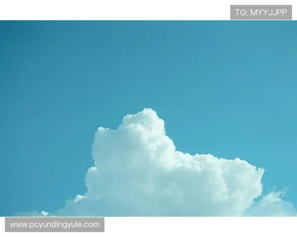 云顶公司是不是传销：法律专家解读传销定义及其在云顶公司的应用