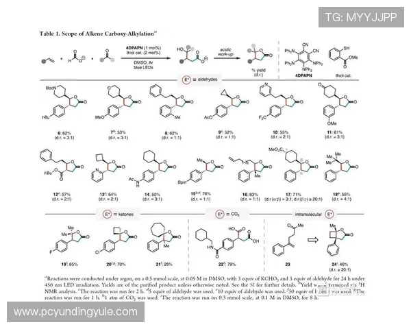 云顶集团的企业简介、发展历程及其在国际市场中的扩展策略详解 云顶集团的企业简介、发展历程及其在国际市场中的扩展策略详解